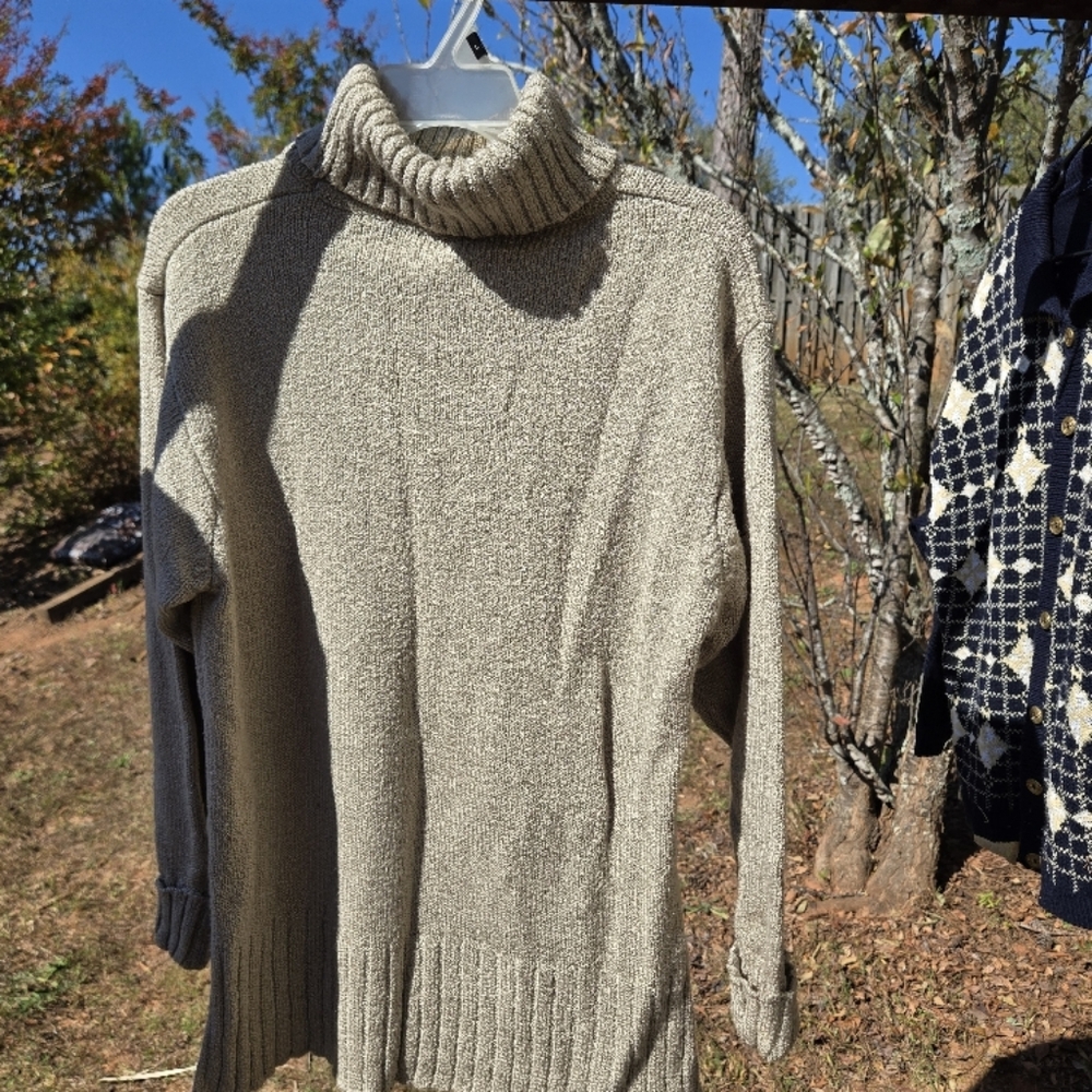 Cozy Turtleneck Sweater in Beige